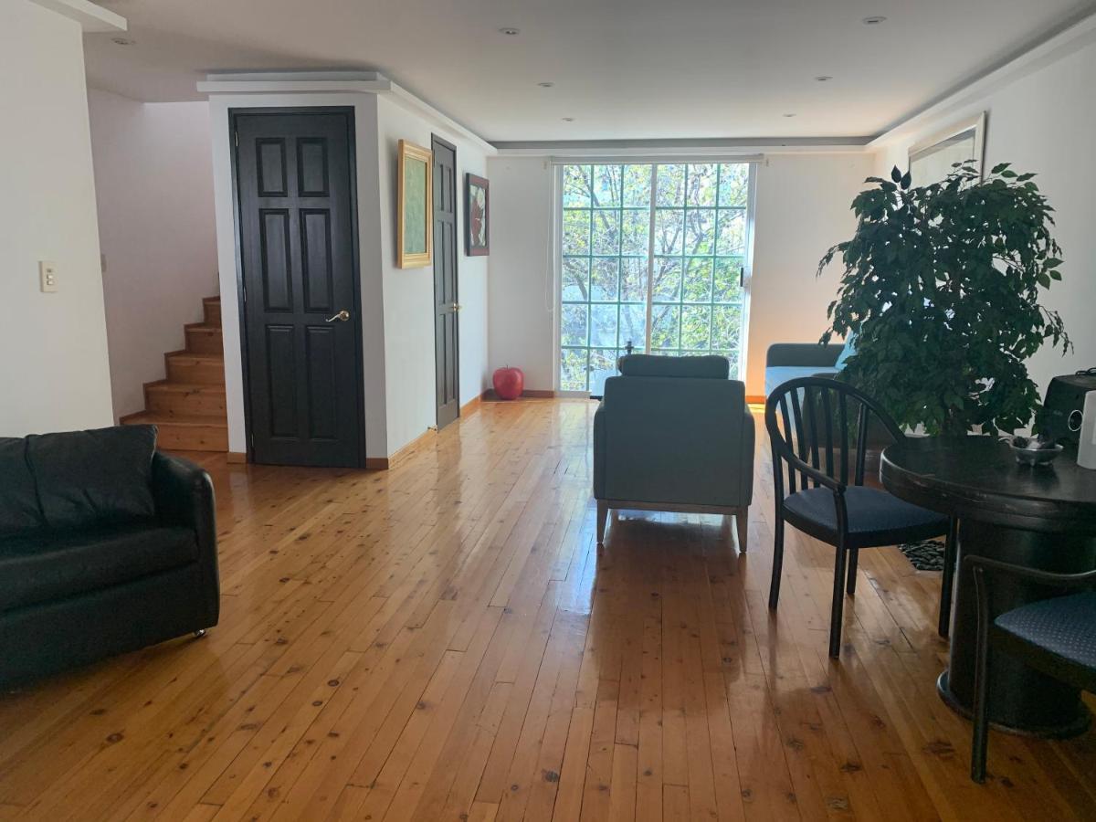 Rooftop Penthouse Lamartine Polanco Meksyk Zewnętrze zdjęcie
